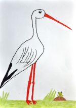 Ružôňová Aneta.jpg